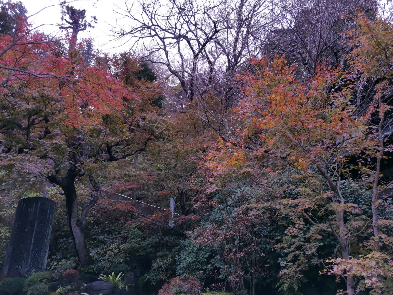 WBを曇りと電球で撮り比べた。角度が少々違ってしまったが、色で印象はだいぶ異なることが分かっていただけるだろうか