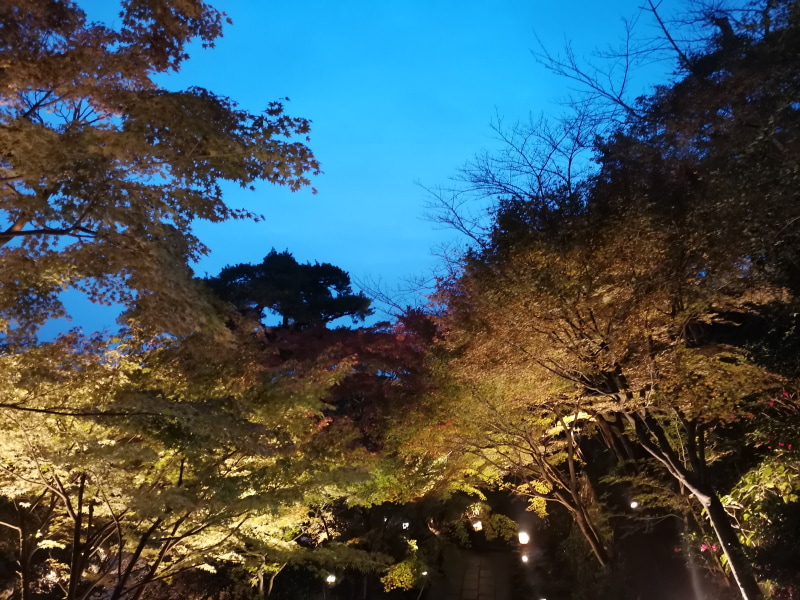 WBはオート。なんの変哲もない