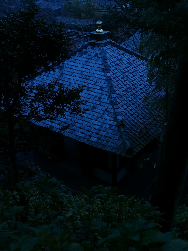 屋根の金色の装飾がアクセントになっている