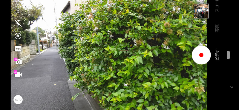 AQUOS R3の動画のファインダー。画面左のアイコンにAIのマークが付いていて、AIライブシャッター（上）とAIライブストーリー（下）が有効になっている状態です