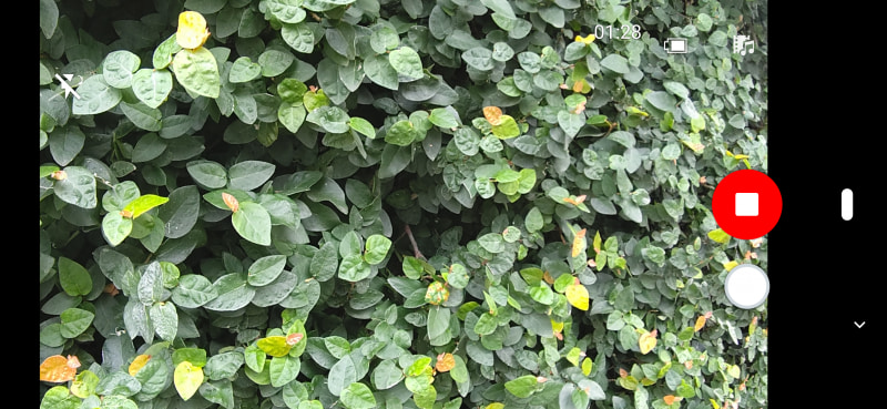 AIライブストーリーでショートムービーが作成されると、ファインダー上にフィルムと音符のアイコンが出現します。このファインダーでは右上