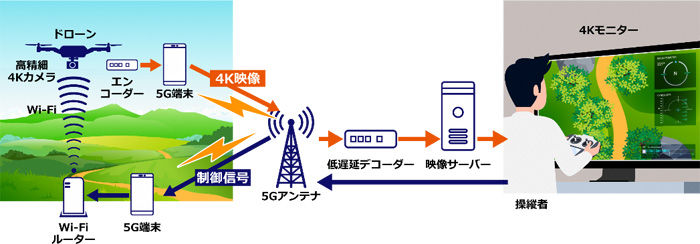 実証試験の概要