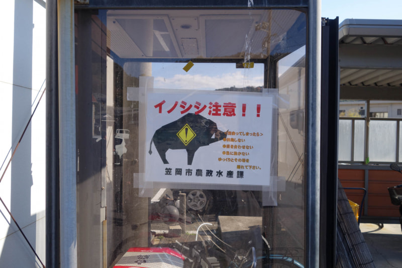 北木島で見かけたイノシシへの注意喚起。ワナを仕掛けて駆除しているというが、漁師はいても猟師のいない島なので、山狩りというわけにはいかない