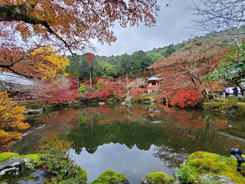 陽が差したり雨が降ったりと忙しい日でした。醍醐寺で有名な弁財天を超広角で