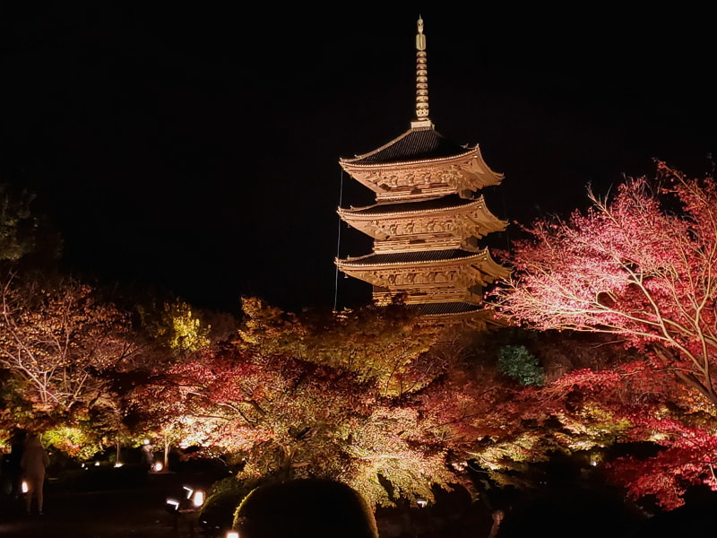 東寺のライトアップを「プロ」モードの手持ちで撮影