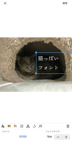 iPhoneにカスタムフォントを追加して遊ぼう！ - ケータイ Watch