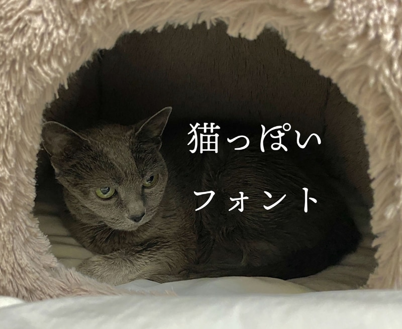 文字入れくんでの様子