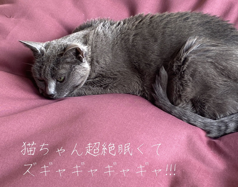 こちらも同様にメッセージを書き込んでみた。なかなか愉快♪