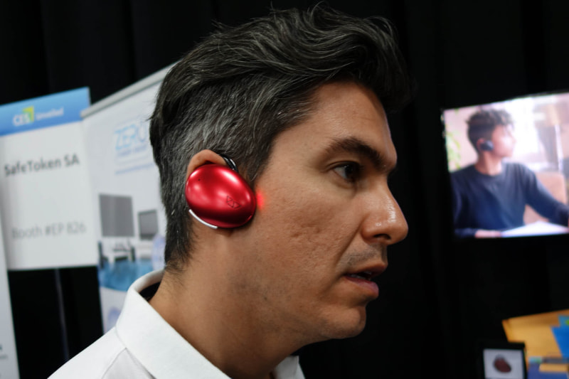 Ambassador。わりと大きい