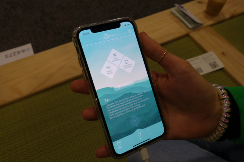 解析アプリ。日本っぽさはかなりなくされている