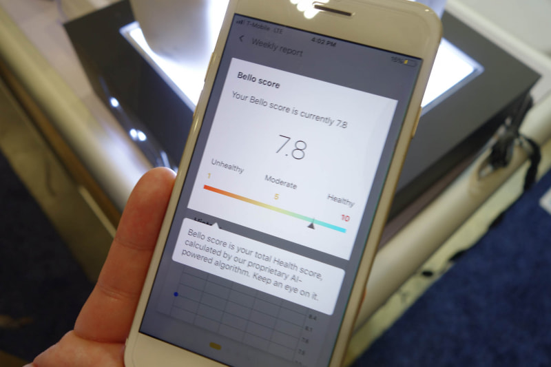 筆者の総合スコア。筆者は筋肉もないが脂肪も少ないガリガリ体型なのでわりとスコアは良かった