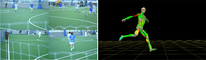モーションデータから筋活動をシミュレーションする様子