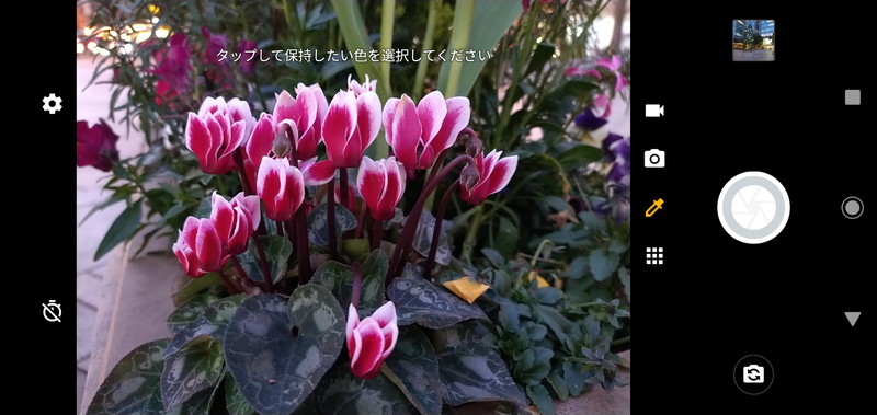 「スポットカラー」機能では被写体の特定の色を保持して撮影が可能