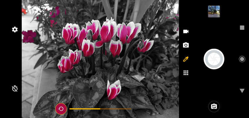 「スポットカラー」機能を使用した様子