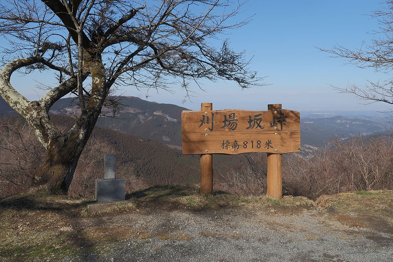 こちらも同様、空置換。複雑な木の枝の間でも、バッチリと空が置き換えられていてビックリ。
