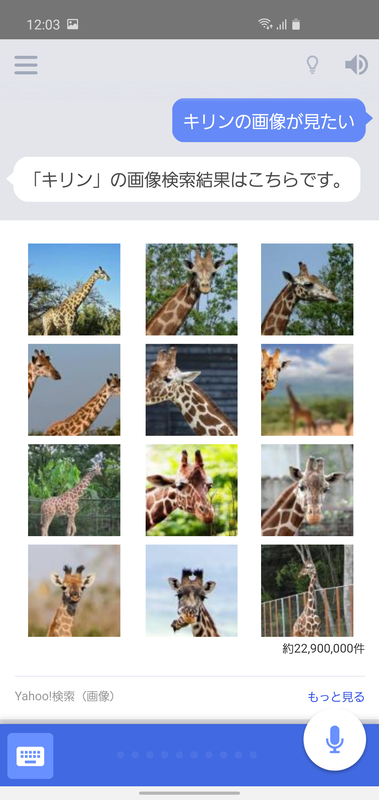 「キリンの画像が見たい」と話しかければ、このように画像検索の結果を表示