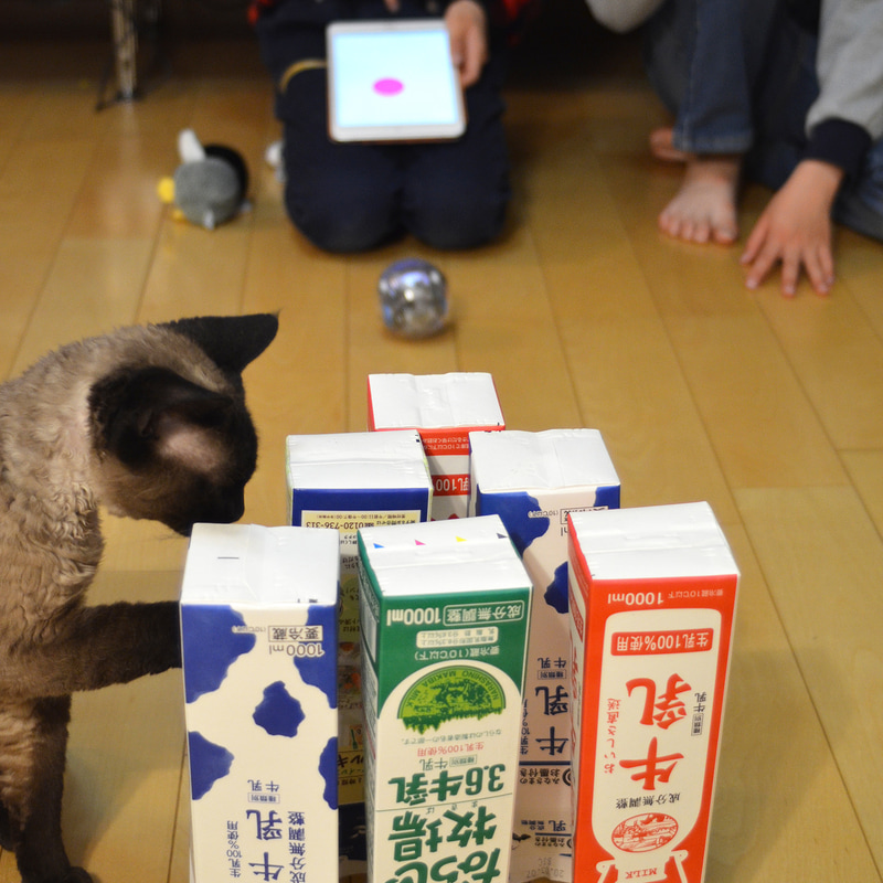牛乳パックをピンに見立てて、ドライブモード「スリングショット」を使ったボウリングで遊ぶ子ども（途中で猫も乱入）