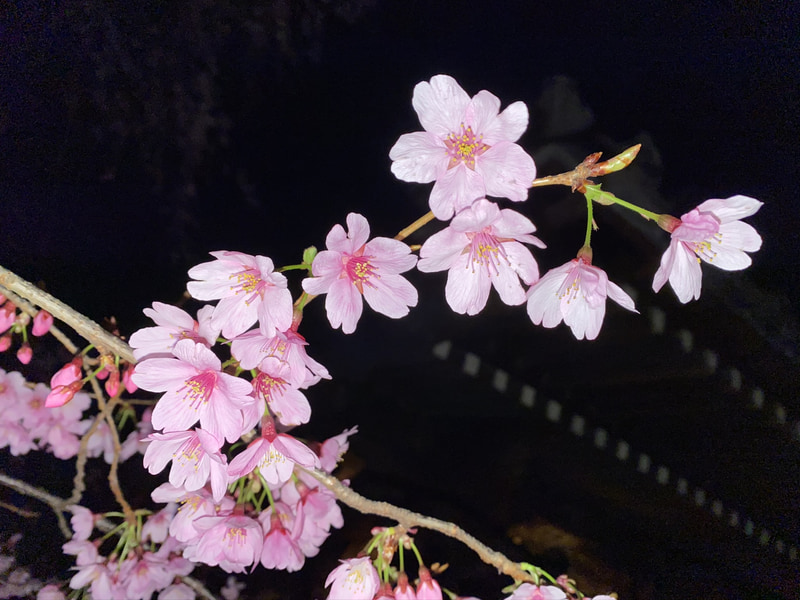 左からナイトモードオフ、ナイトモードオフ＋フラッシュ、ナイトモードオン。オフだと暗く手ぶれしているし、かといってフラッシュを使うと背景が真っ黒に。ナイトモードも手ぶれには注意が必要だが、背景まできれいに撮れる