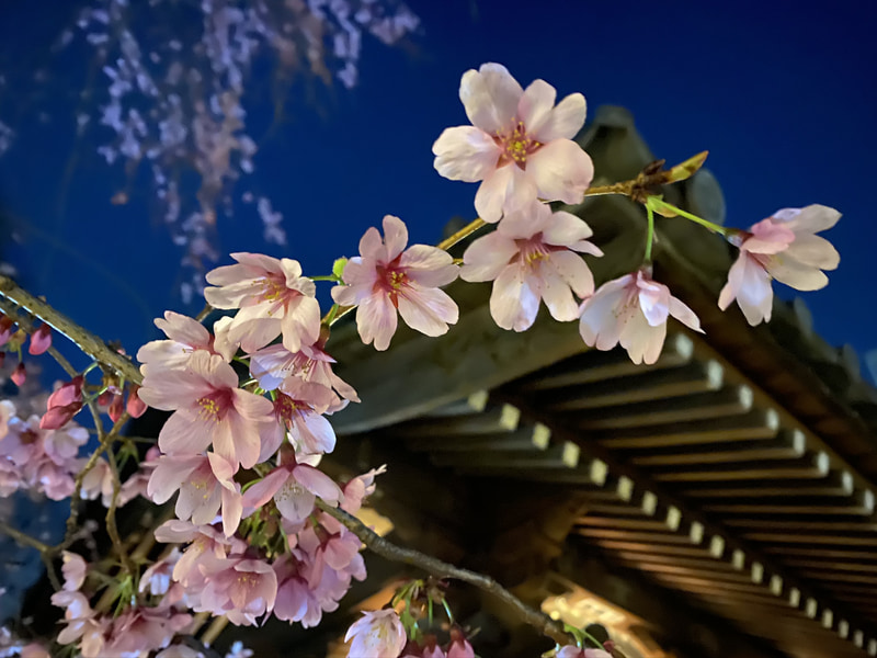 左からナイトモードオフ、ナイトモードオフ＋フラッシュ、ナイトモードオン。オフだと暗く手ぶれしているし、かといってフラッシュを使うと背景が真っ黒に。ナイトモードも手ぶれには注意が必要だが、背景まできれいに撮れる