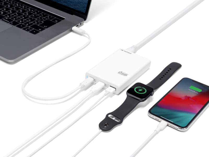 Dual USB-C Travel USB Charger