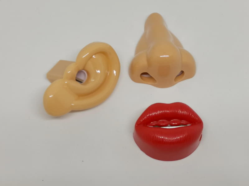 今回買った３種類の消しゴム、人間の顔に乗っかてる眼以外をモチーフにしたものだ。少し猟奇的にはなるがぜひ眼モデルも欲しかった