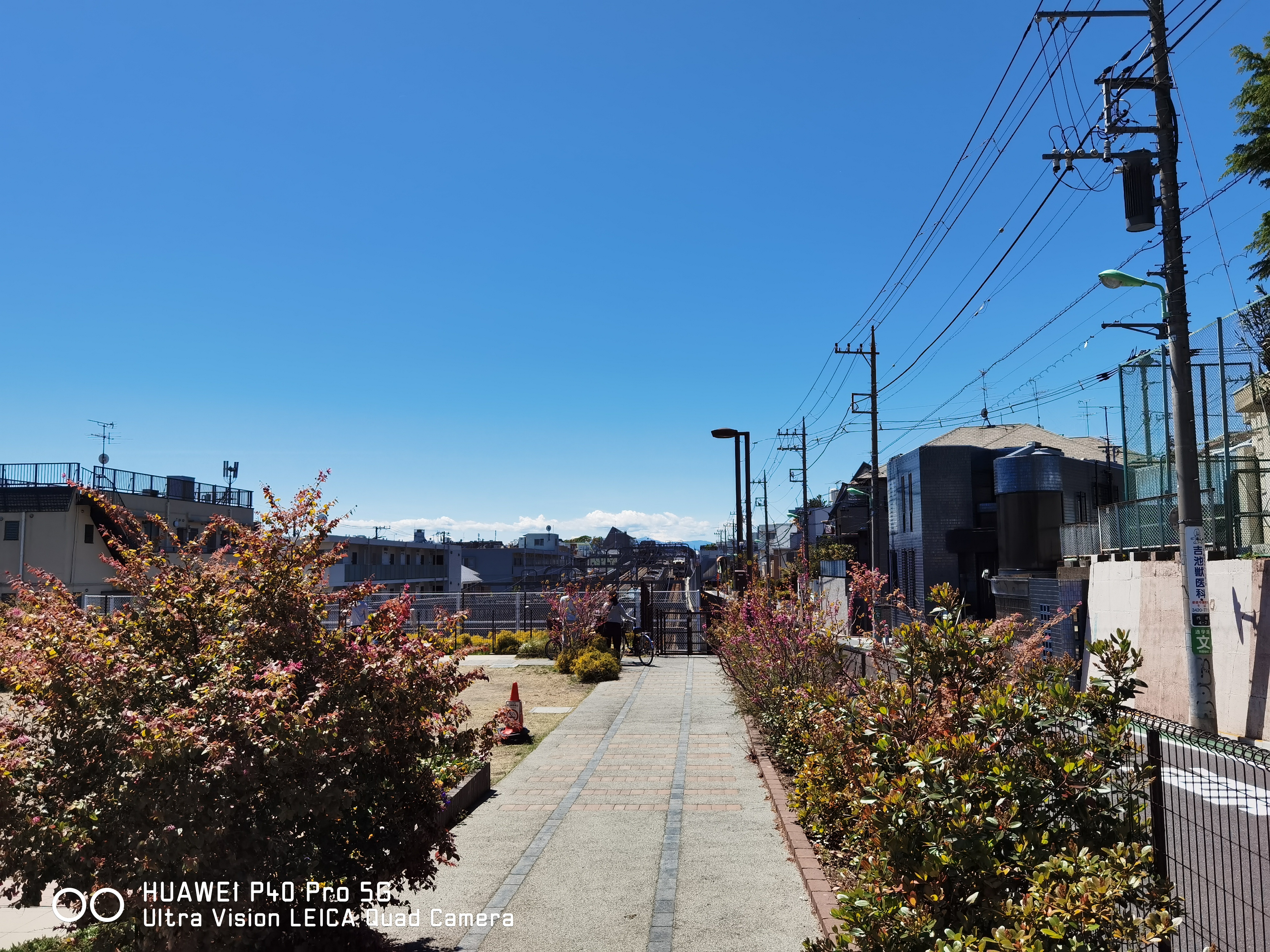 カメラを起動したときの1倍の画面