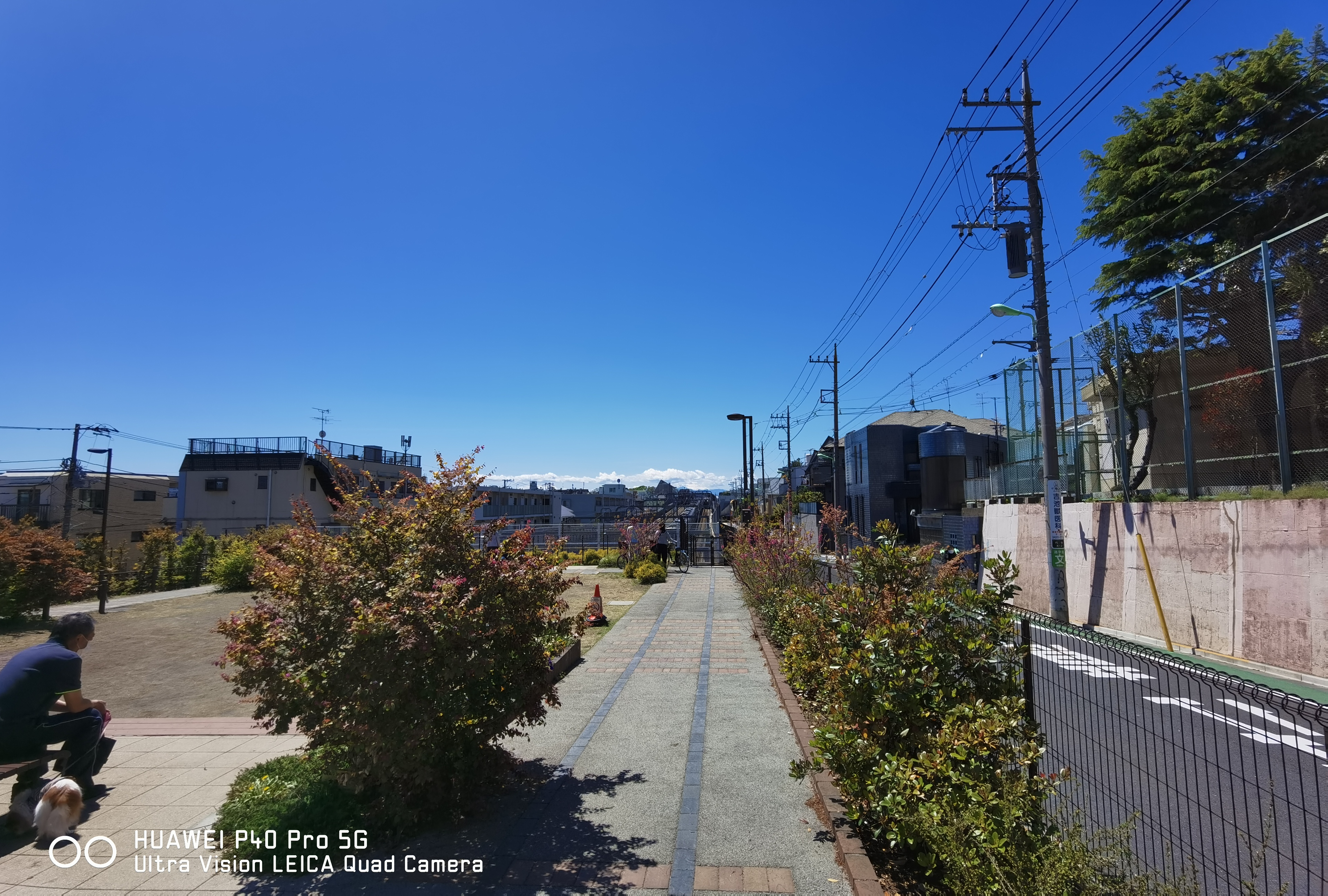 1倍から50倍までのズームと同じ位置で広角に切り替えて撮影