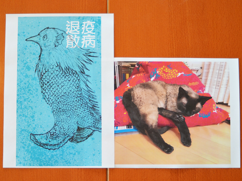 家人の描いた絵や写真をプリントしてみました。写真だと伝わりにくいですが、業務用としても遜色ないクオリティだと思います