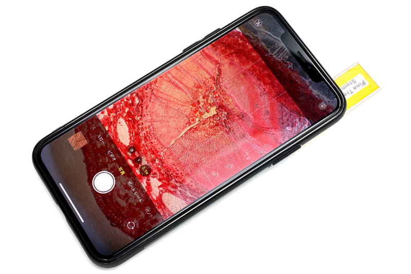 例えばプレパラート上の標本なら、レンズ部分にプレパラートをペタリと置けば、ほぼしっかりとピント（iPhoneカメラのAF）が合って観察できる