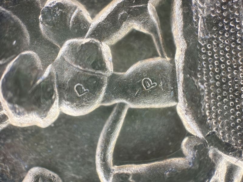 500円硬貨。マイクロ文字もハッキリ見える