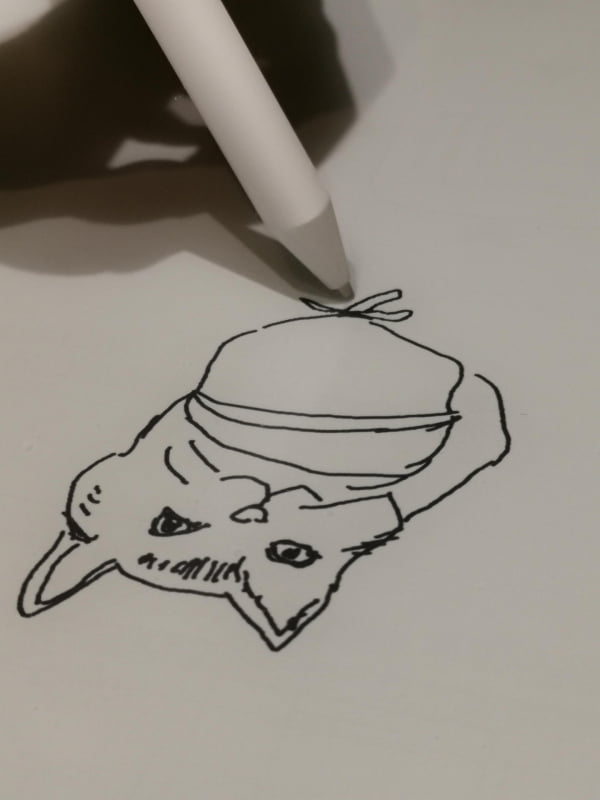 標準スタイラスも筆記に特別問題があるわけではないが、デジタルスタイラス感があり過ぎて素っ気ない感じがしてしまう	