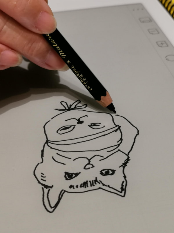 三菱鉛筆9800番のDG。アナログ鉛筆感が最高！間違って削ってしまいそうだ