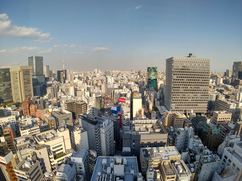 超広角（19mm、F2.9）