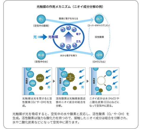光触媒作用