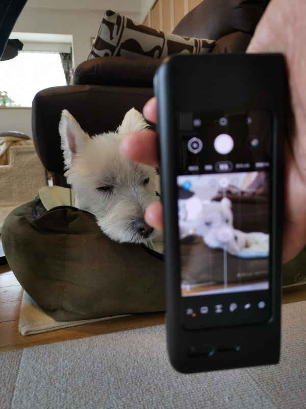 PopSocketsがあると、スマホ逆さま持ちでローアングルでも安心してペットなどの撮影が出来る