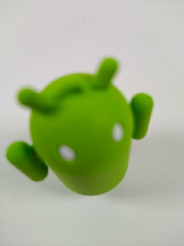 被写体に近づいて標準で撮った写真