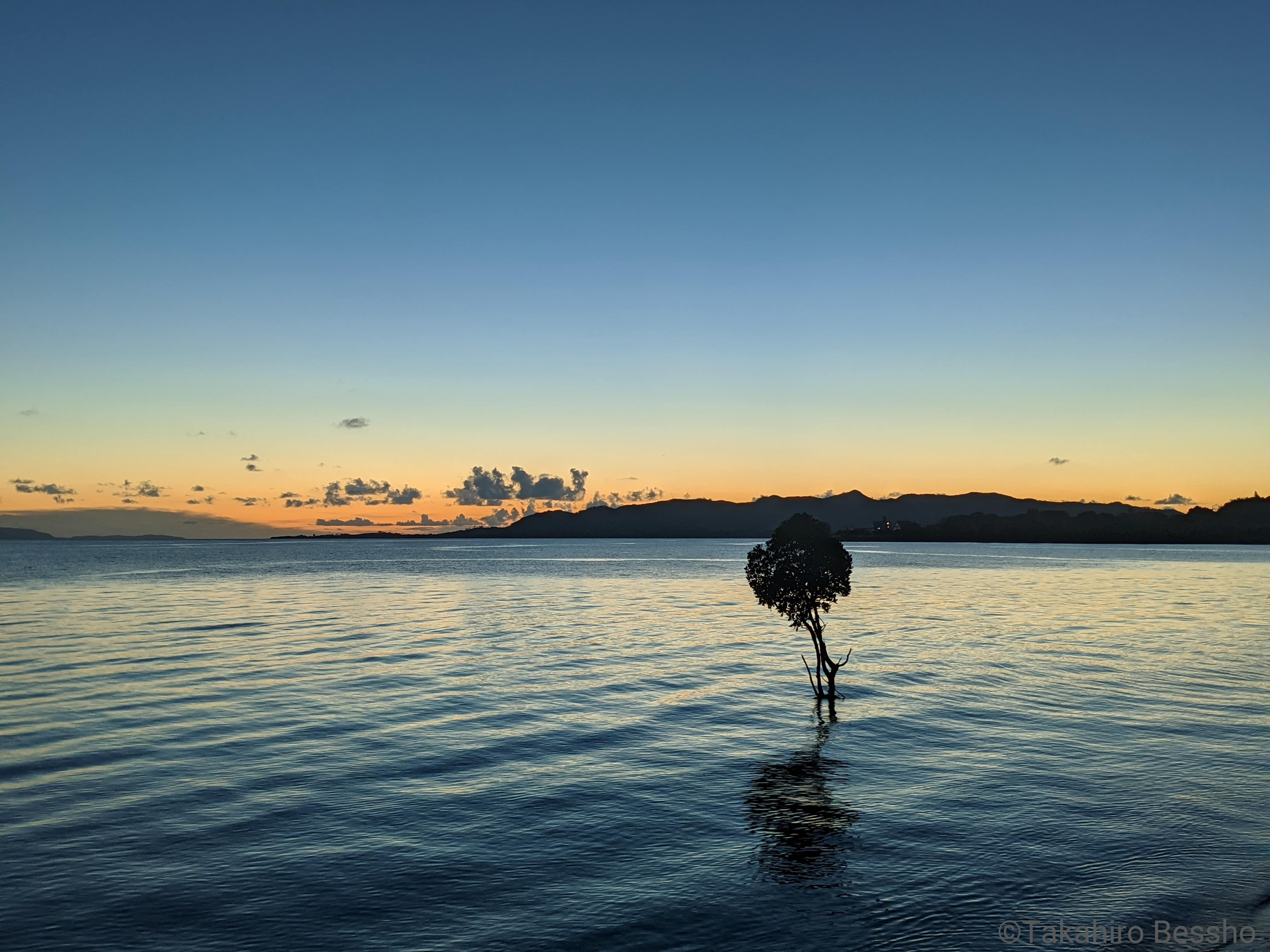 夜景モードで撮影