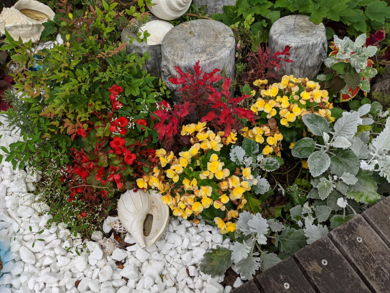 カメラモードで撮影