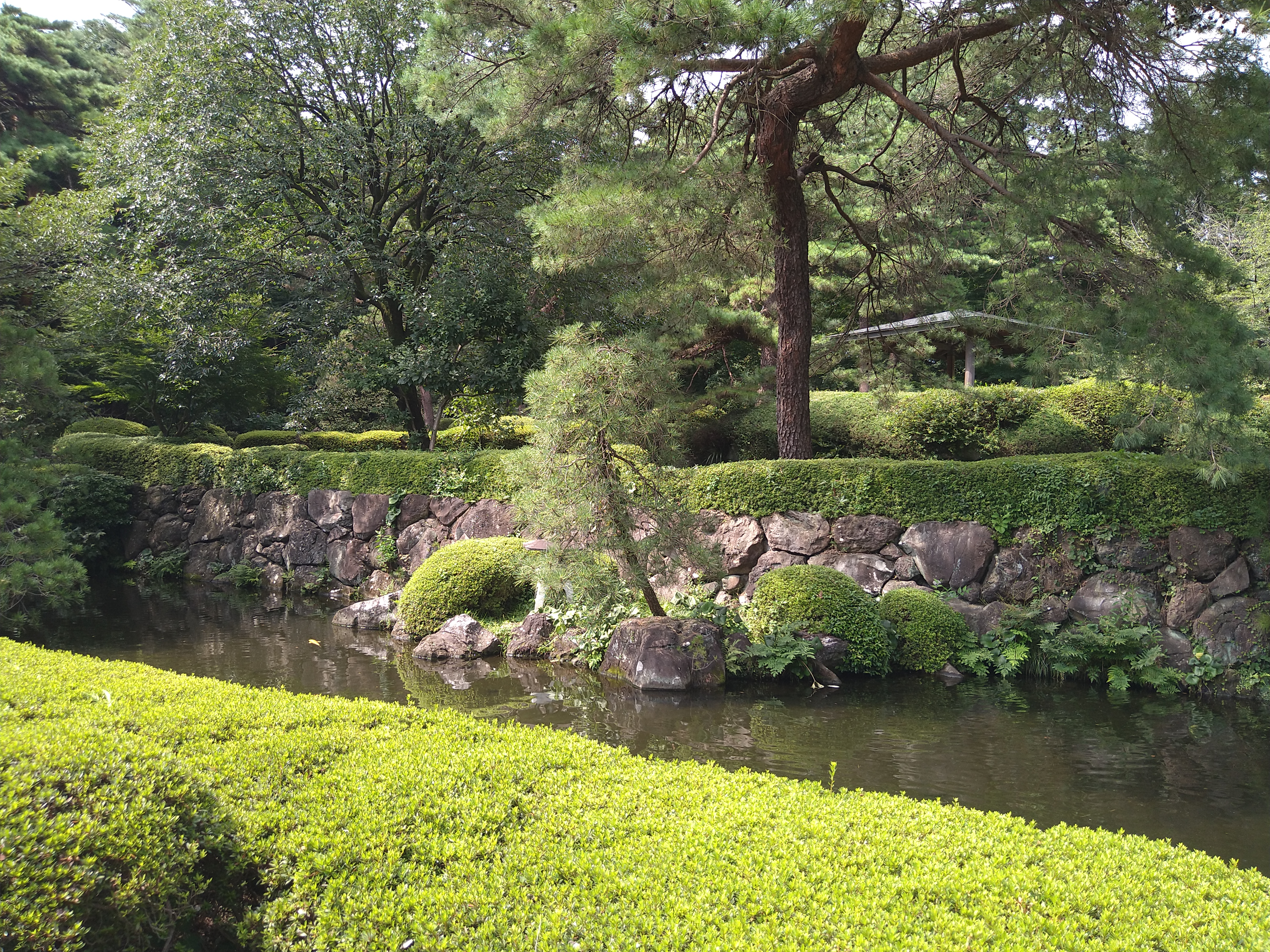 広角カメラで撮影