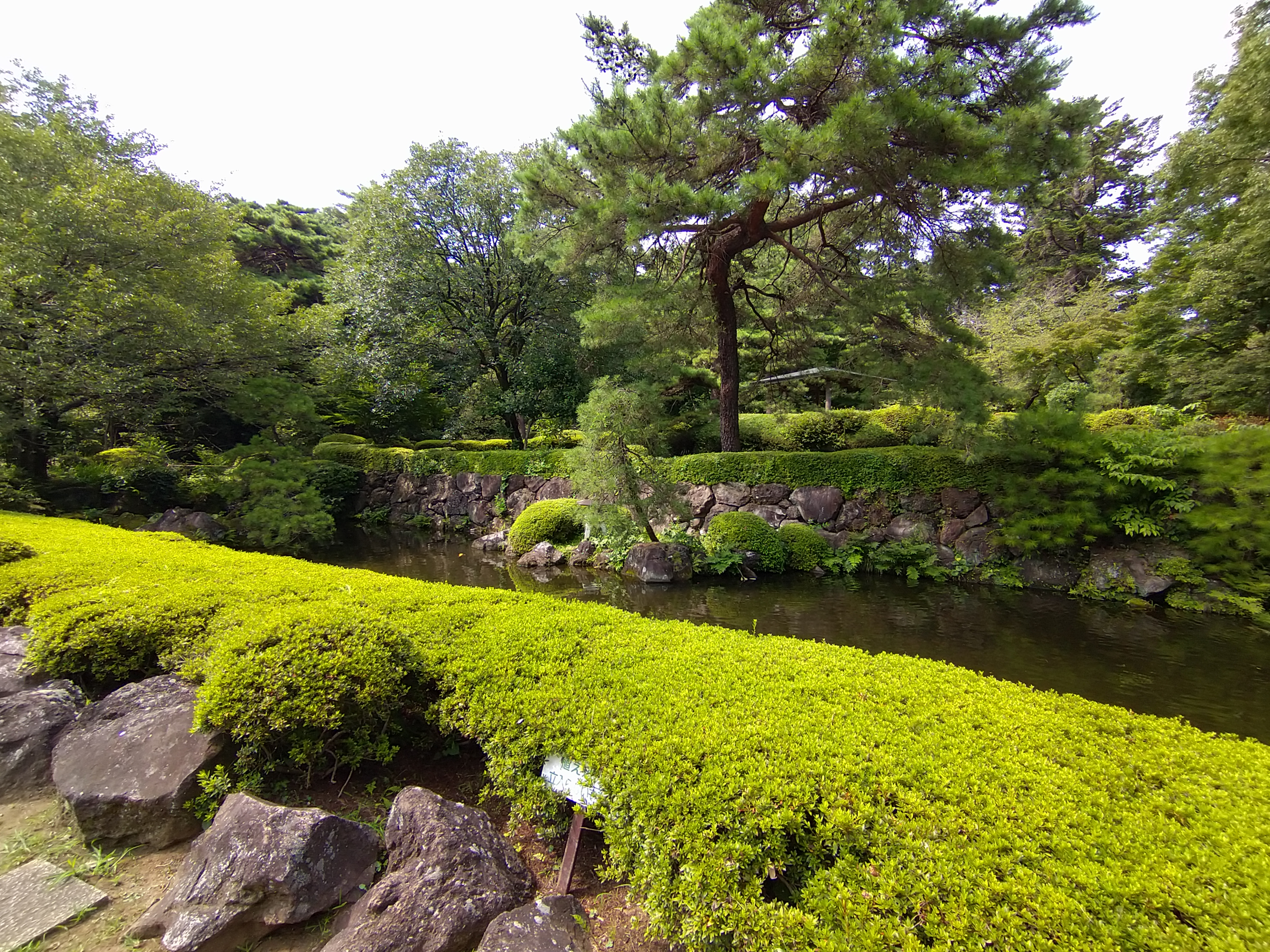 超広角カメラで撮影