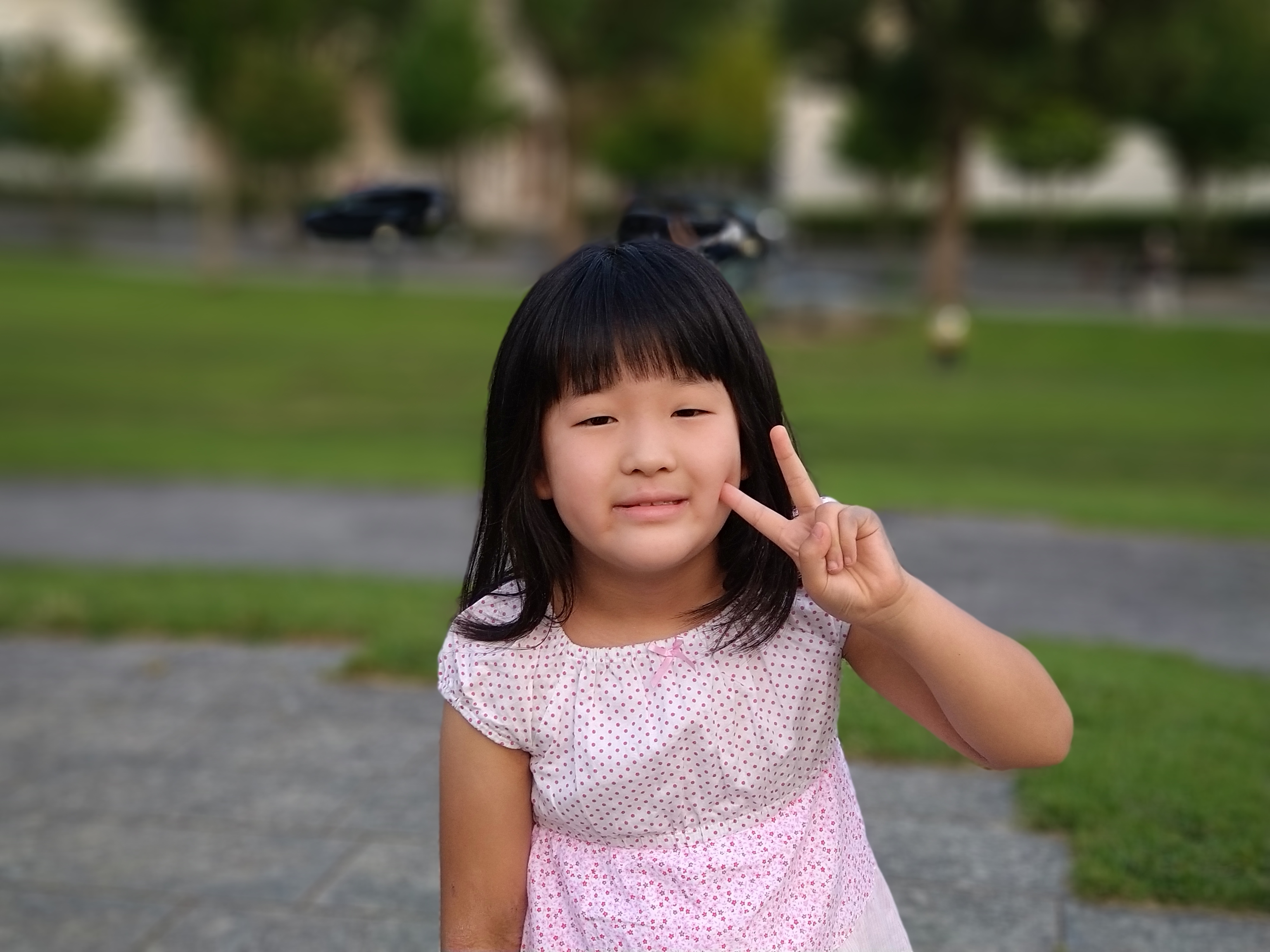 背景ぼかしも利用できる