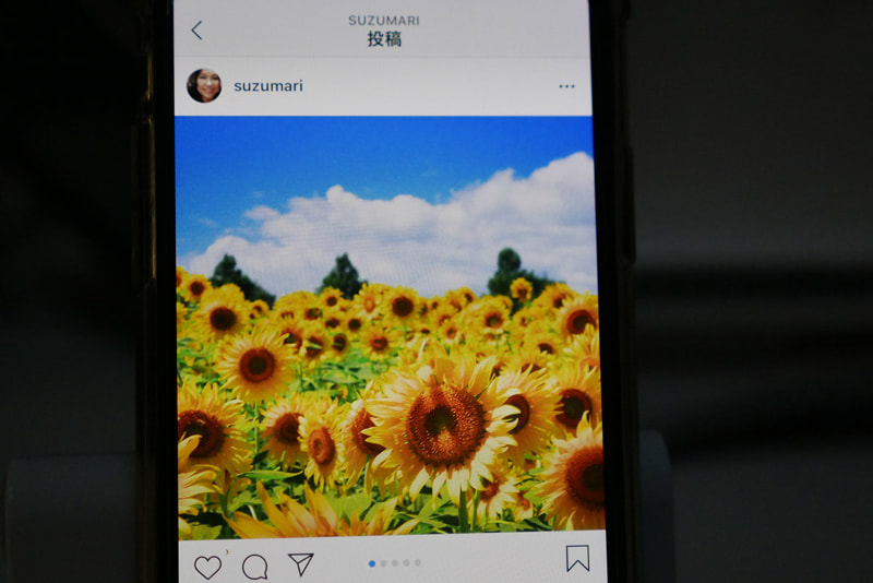 部屋を暗くしてInstagramの写真を表示してみると……