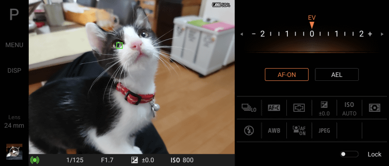 子猫の目を検知して追従