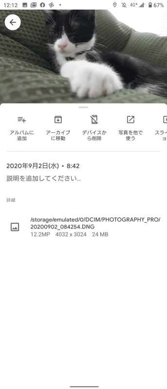 RAWファイルのデータサイズは約24MB