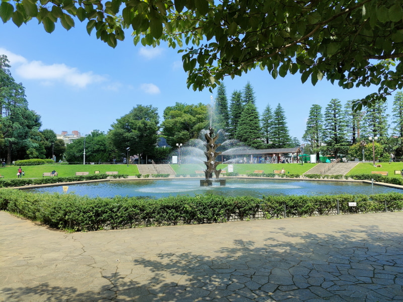 空も緑も光も影もバランスよく撮れる