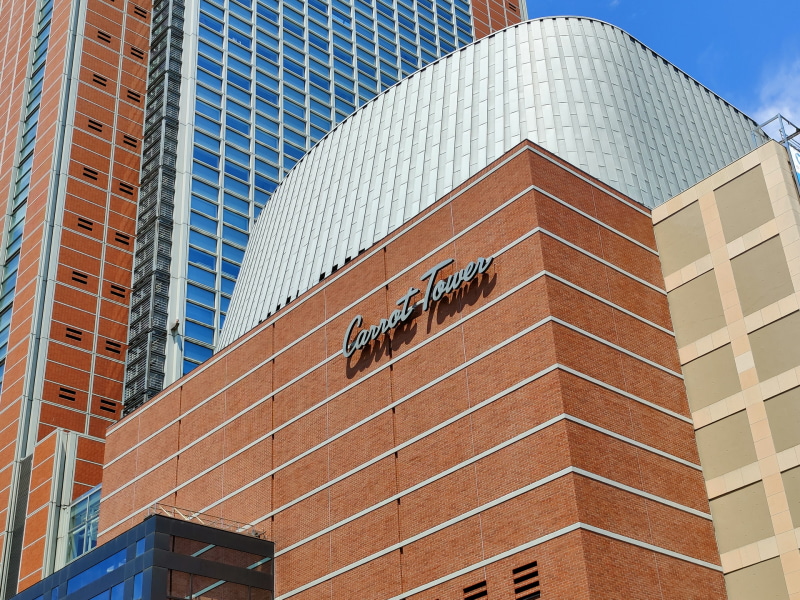 望遠（2x）で撮影。メインカメラと同じ色調で撮れる