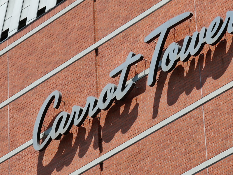 望遠（10x）で撮影。ほとんど画質劣化は気にならない