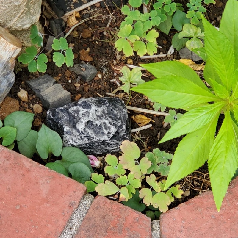 実際に植え込みなどにそっと置いておくと上手く環境に溶け込んでくれる