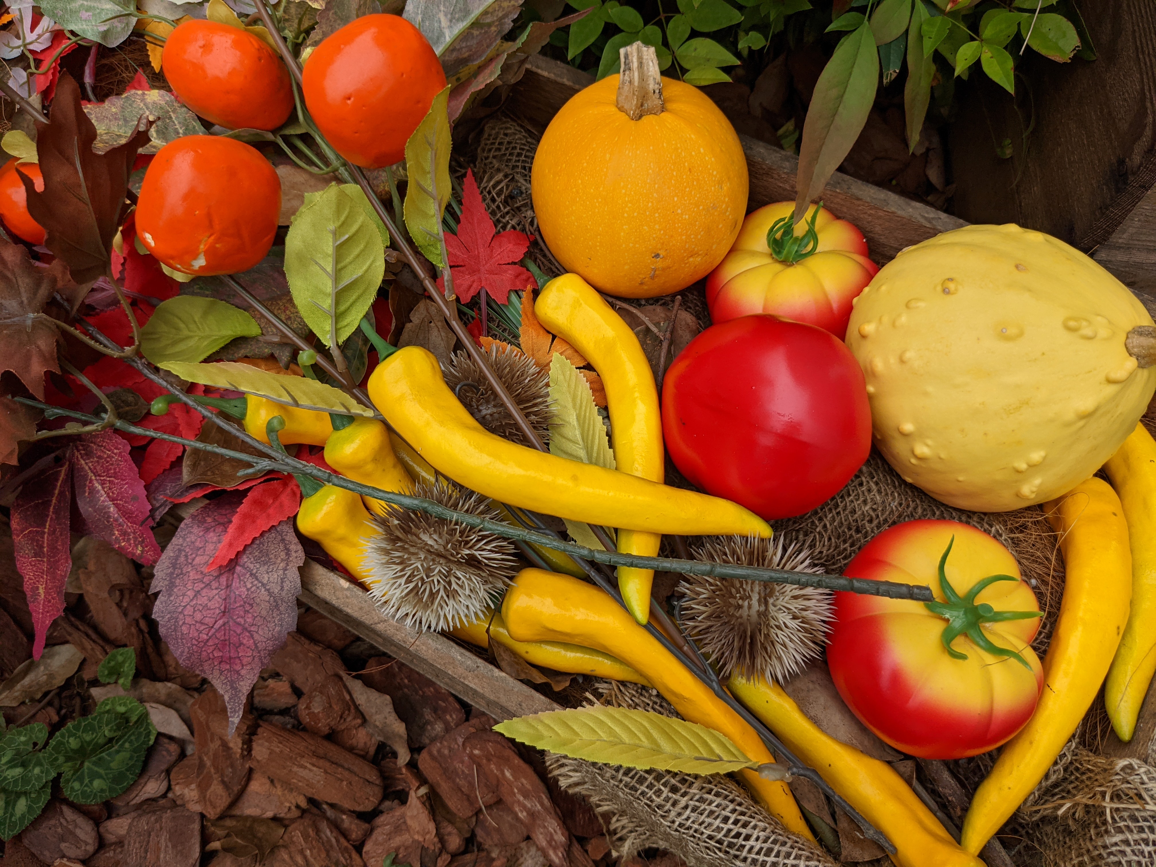 カメラモードで撮影（原寸大）