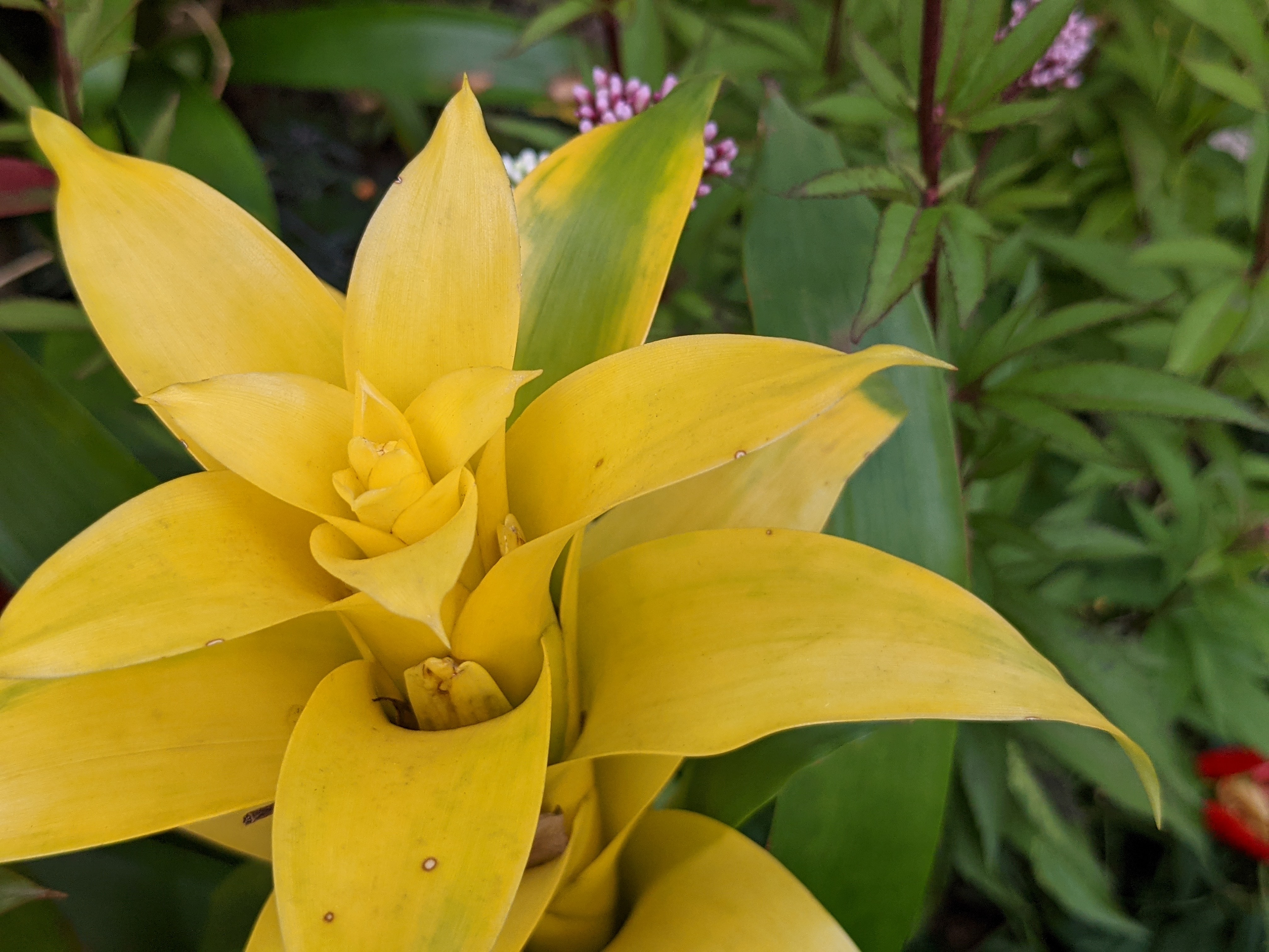 カメラモード（左）とポートレート（右）。背景にぼけがきいている。（原寸大）